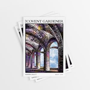 Issue 5