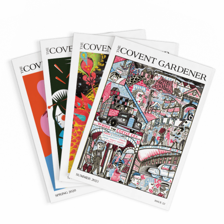 Issue 22 Fanned-min