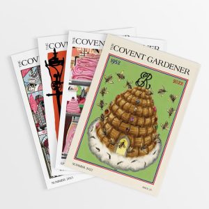 Special Offer Combo Subscription