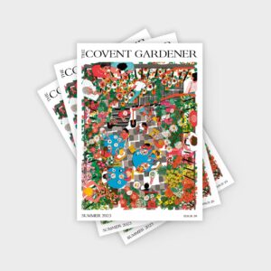 Issue 29